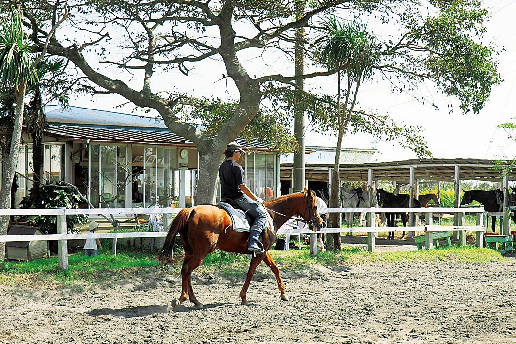 一宮乗馬センターでの乗馬体験