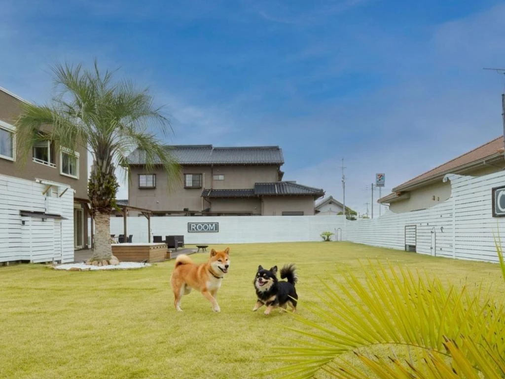 ヴィラの芝生の庭で遊ぶ2匹の犬